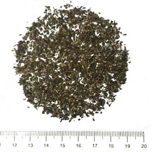 BPS 450